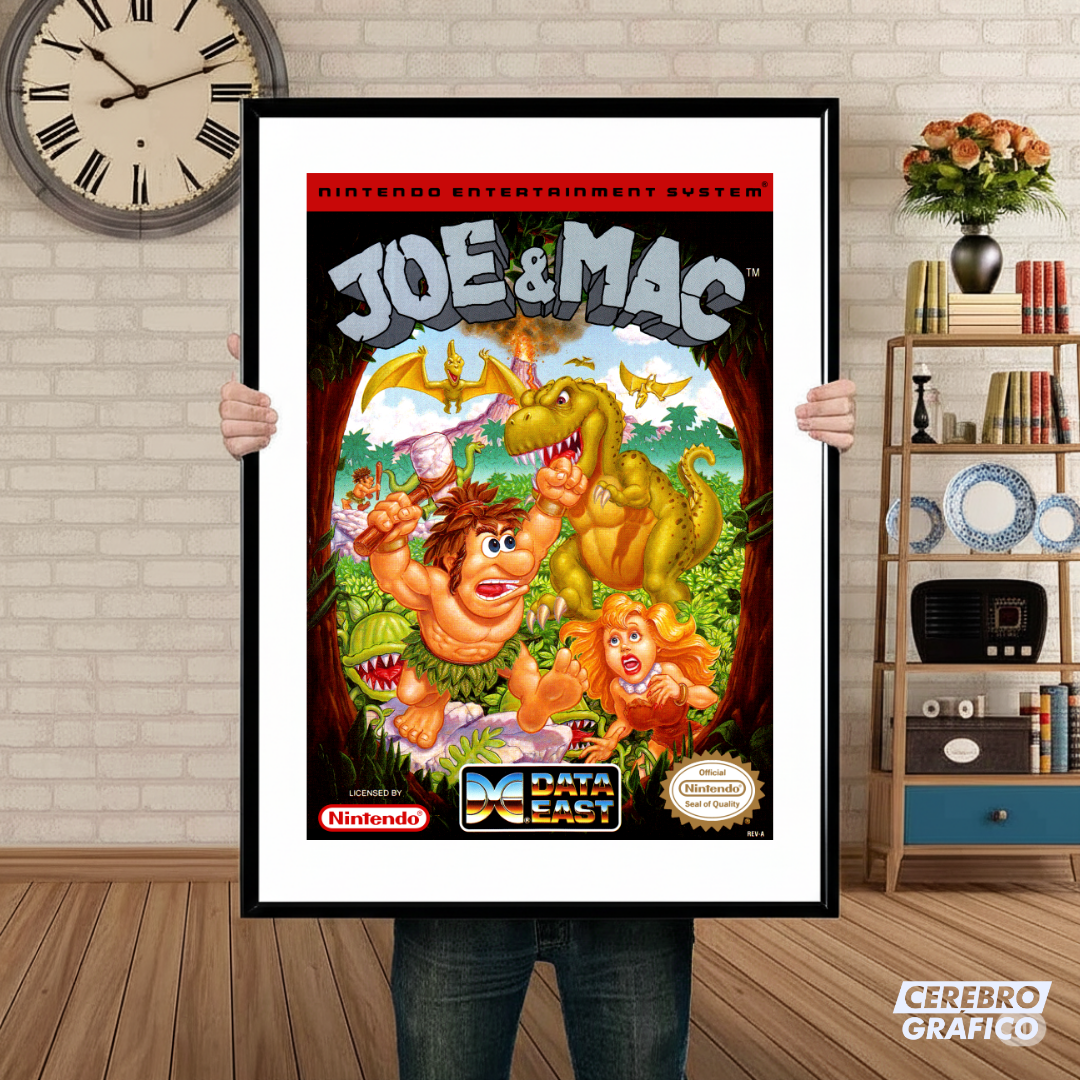 Cuadro Nintendo Joe & Mac