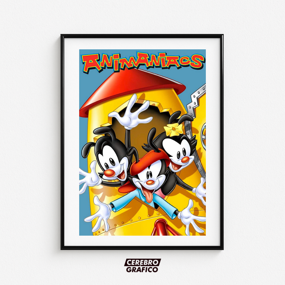 Cuadro Animaniacs