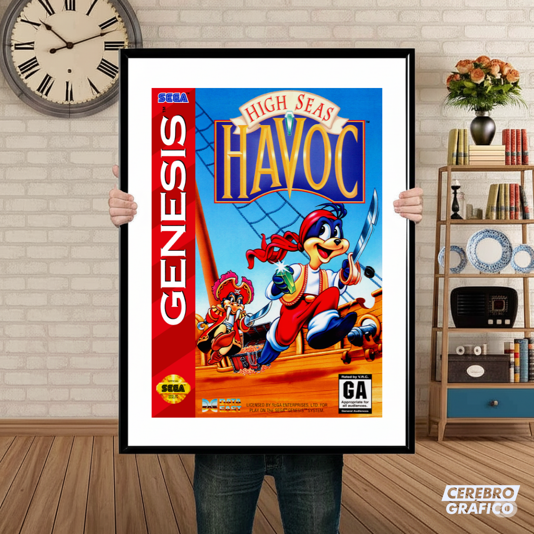 Cuadro SEGA High Seas Havoc