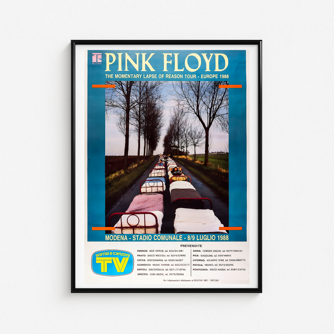Cuadro Pink Floyd Stadio Comunale