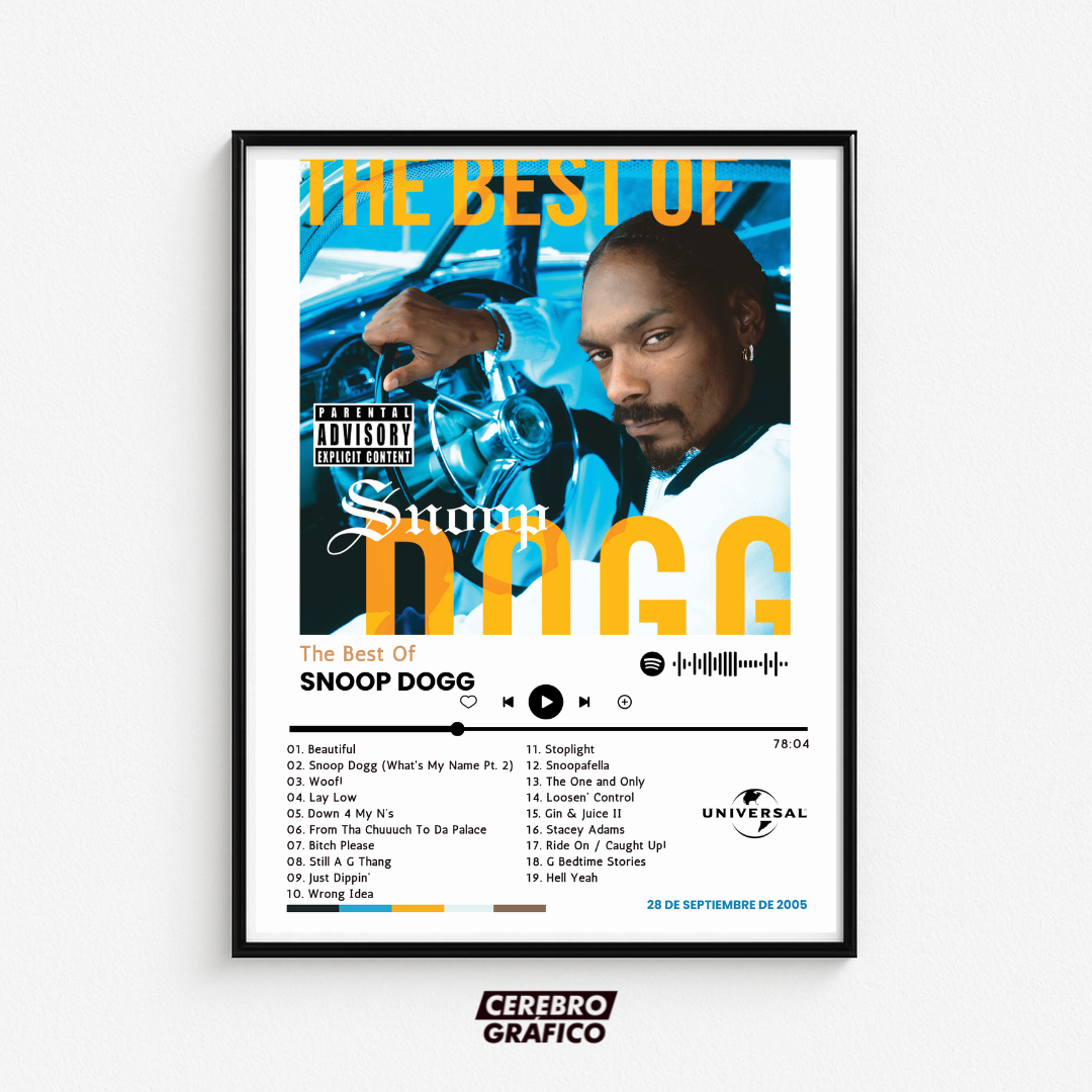 Cuadro Música Snoop Dogg - The Best Of