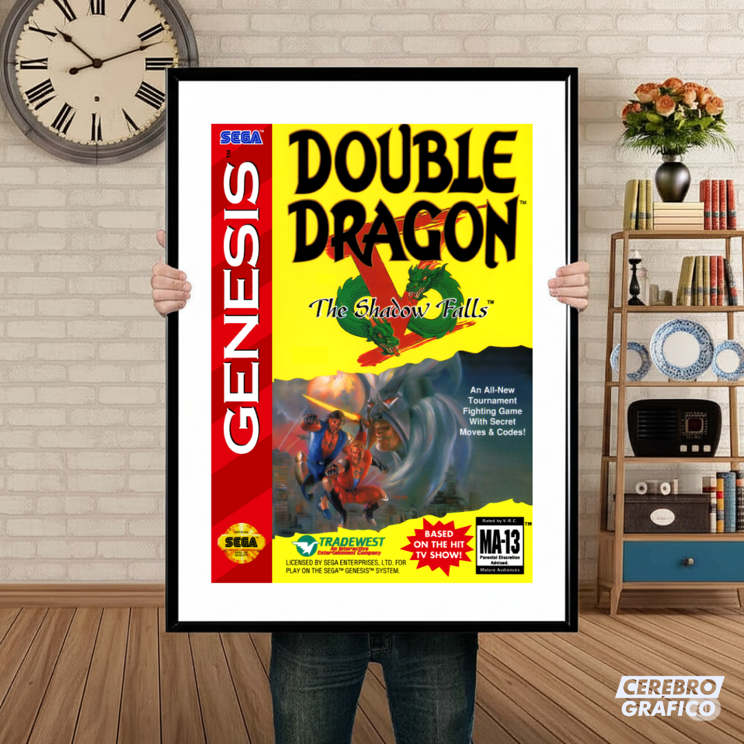 Cuadro SEGA Double Dragon V