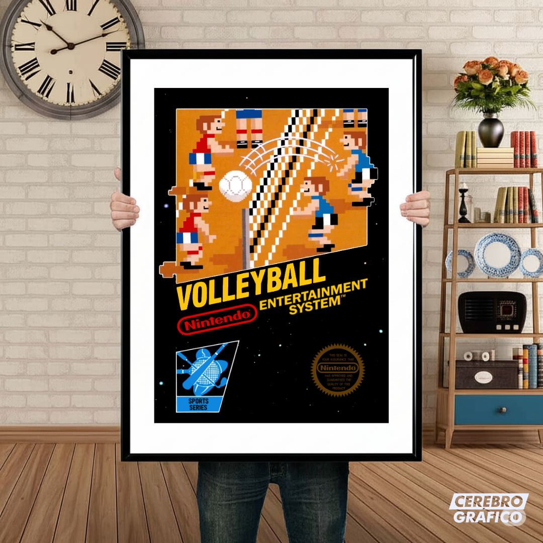 Cuadro Nintendo Volleyball