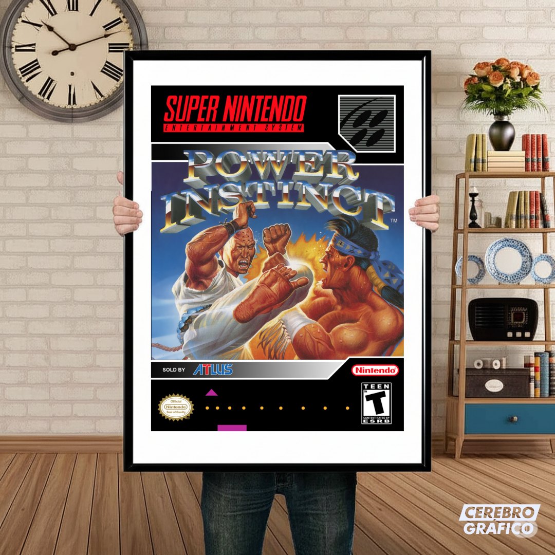 Cuadro SNES Power Instinct