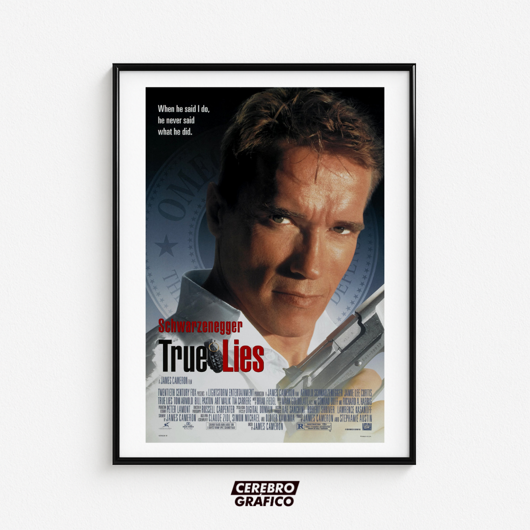 Cuadro Mentiras verdaderas - True Lies