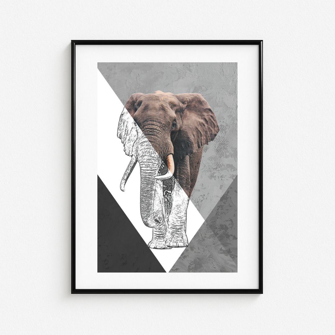 Cuadro Animales 88