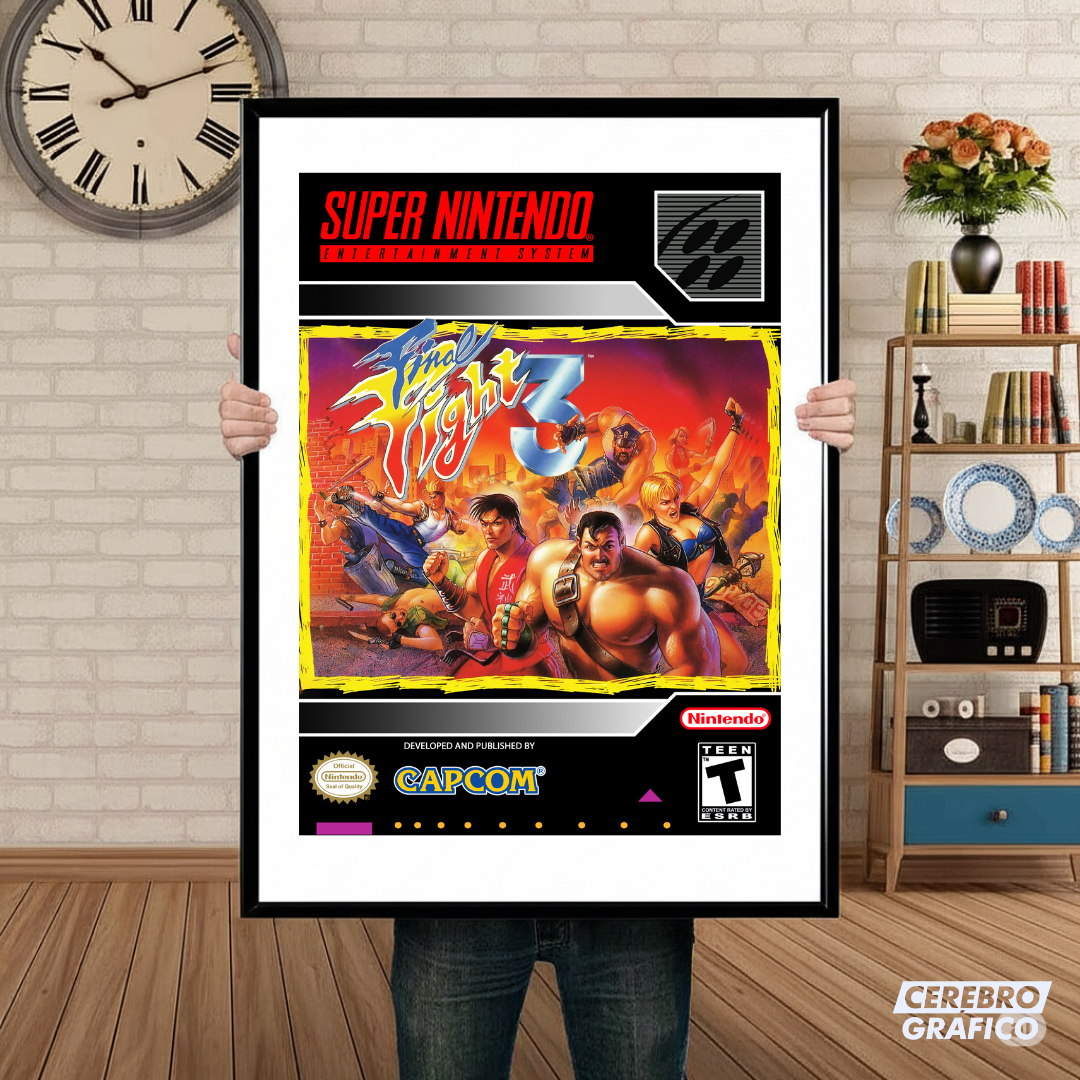 Cuadro SNES Final Fight 3