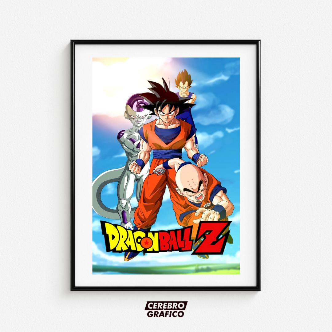 Cuadro Dragon Ball Z