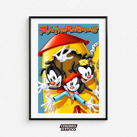 Cuadro Animaniacs