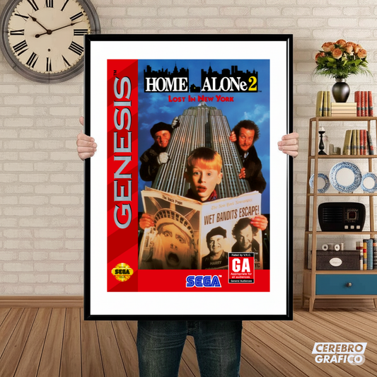 Cuadro SEGA Home Alone 2
