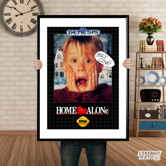 Cuadro SEGA Home Alone