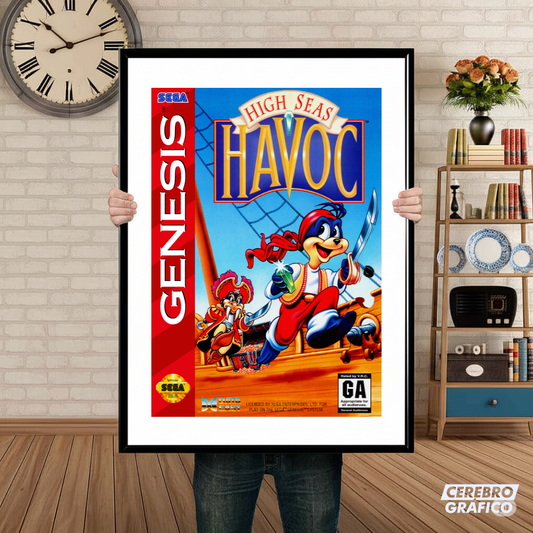 Cuadro SEGA High Seas Havoc