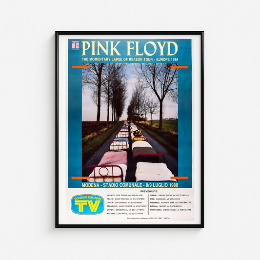 Cuadro Pink Floyd Stadio Comunale
