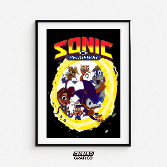Cuadro Sonic The HedgeHog