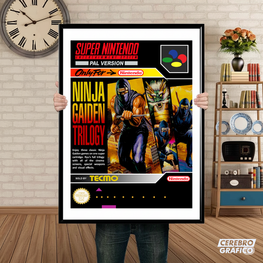 Cuadro SNES Ninja Gaiden Trilogy