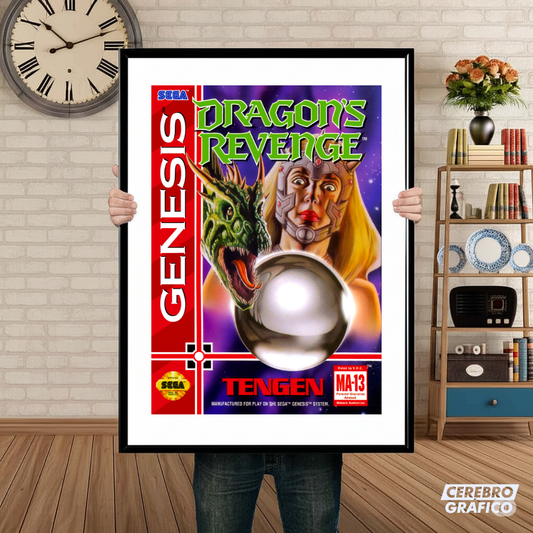 Cuadro SEGA Dragons Revenge