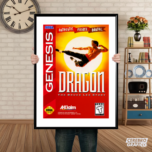 Cuadro SEGA Dragon The Bruce Lee Story