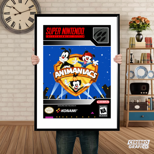 Cuadro SNES Animaniacs 2