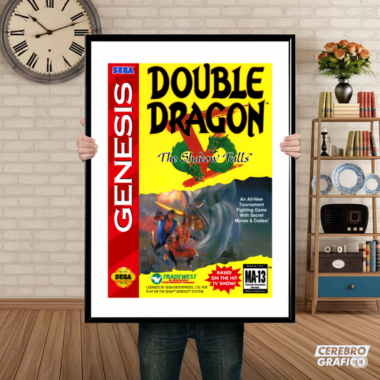 Cuadro SEGA Double Dragon V