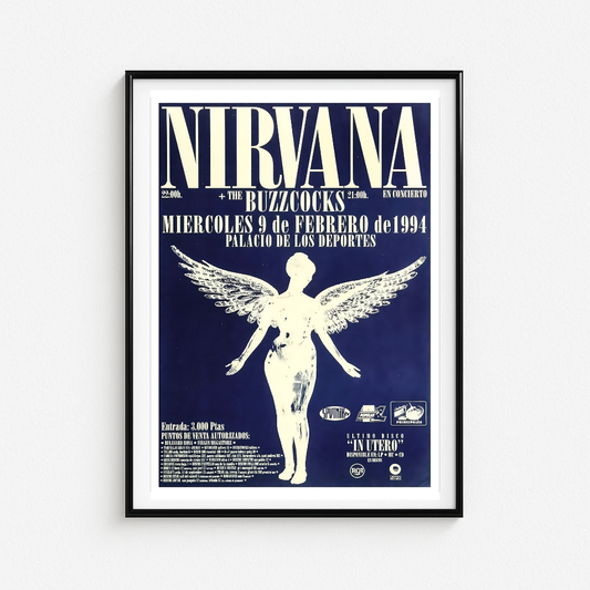Cuadro Nirvana Live Palacio de Los Deportes
