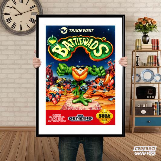 Cuadro SEGA Battletoads