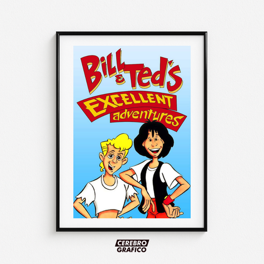 Cuadro Bill & Ted