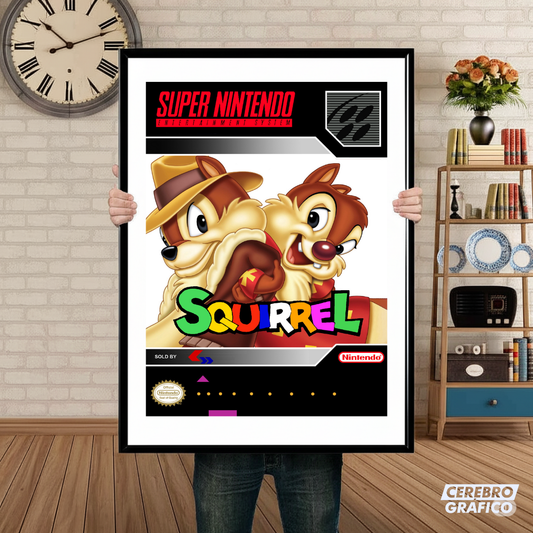 Cuadro SNES Squirrel