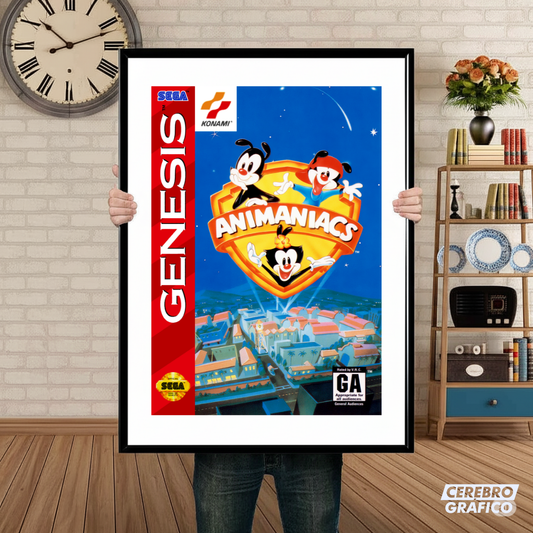 Cuadro SEGA Animaniacs