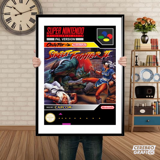 Cuadro SNES Street Fighter II