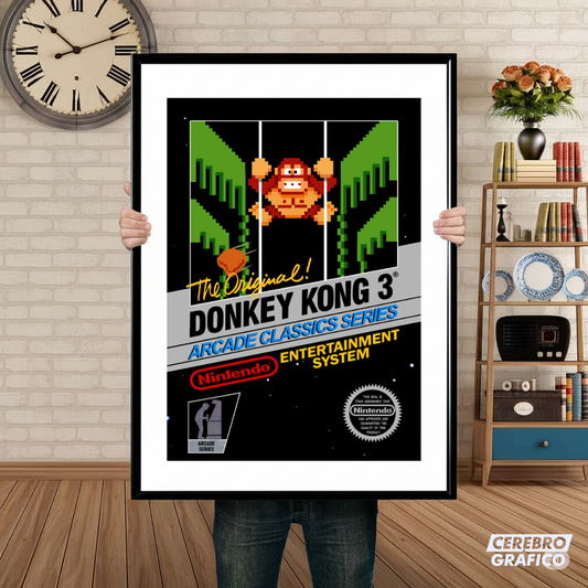 Cuadro Nintendo Donkey Kong 3