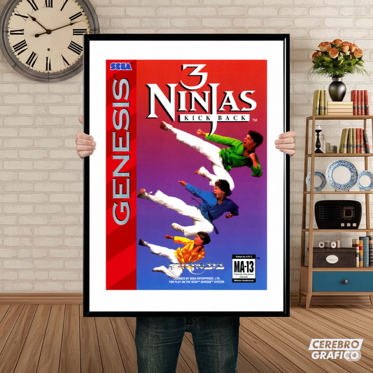Cuadro SEGA 3 Ninjas Kickback