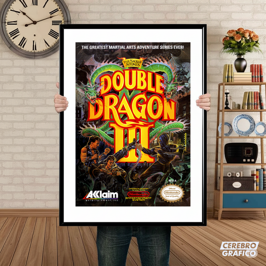 Cuadro Nintendo Double Dragon III