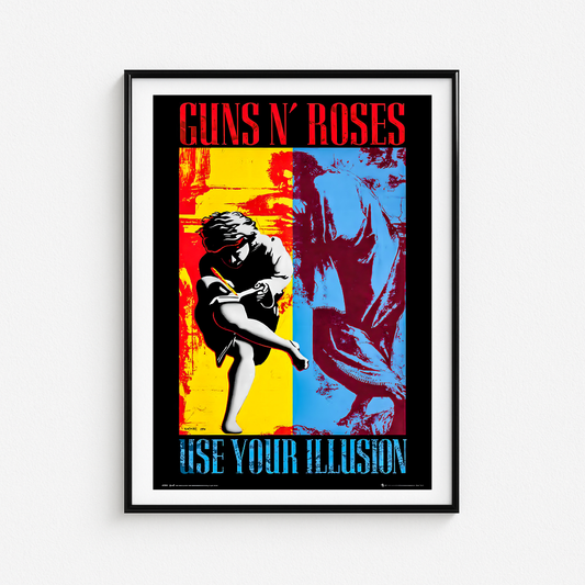 Cuadro Guns N Roses Use Your Illusion