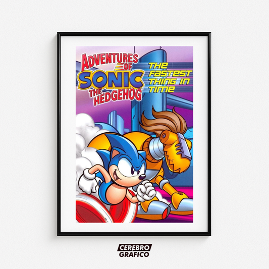 Cuadro Adventures of Sonic The Hedgehog