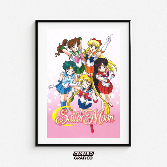 Cuadro Sailor Moon