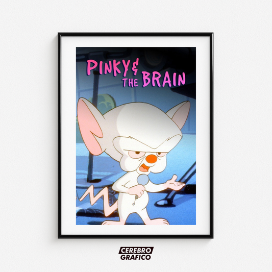 Cuadro Pinky & Cerebro