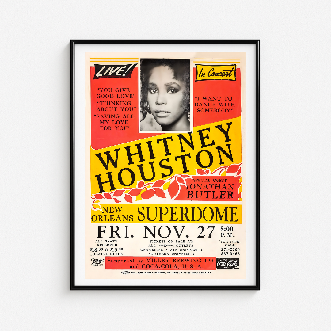 Cuadro Whitney Huston Superdome