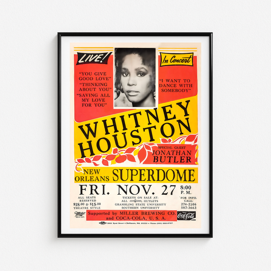 Cuadro Whitney Huston Superdome