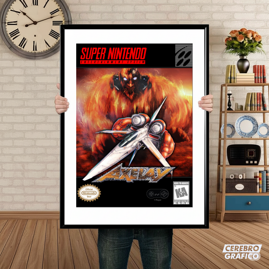 Cuadro SNES Axelay