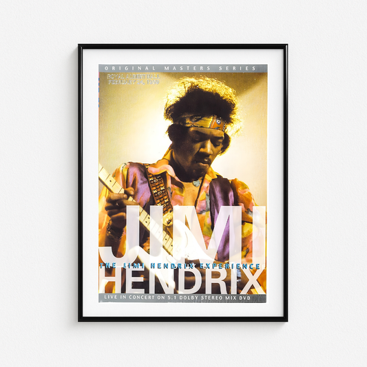 Cuadro Jimi Hendrix live in Concert