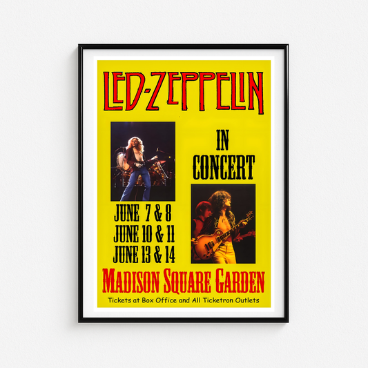 Cuadro Led Zeppelin MSG