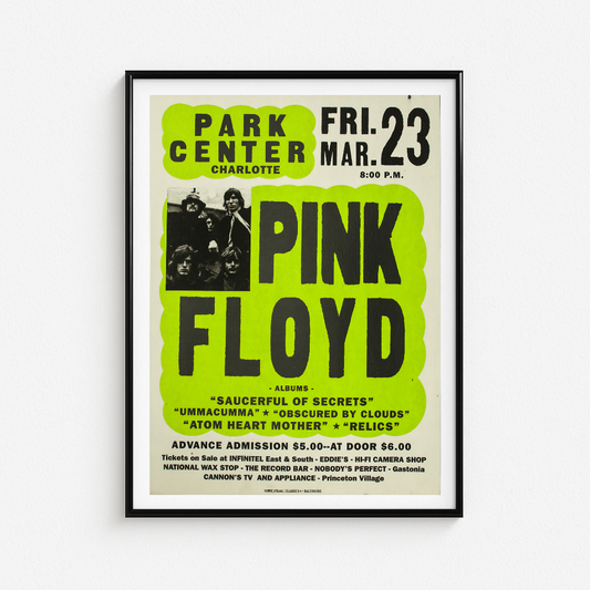 Cuadro Pink Floyd Park Center