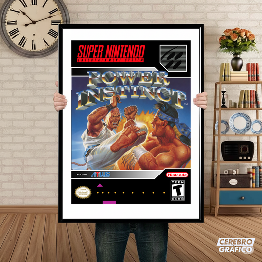 Cuadro SNES Power Instinct