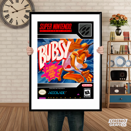 Cuadro SNES Bubsy