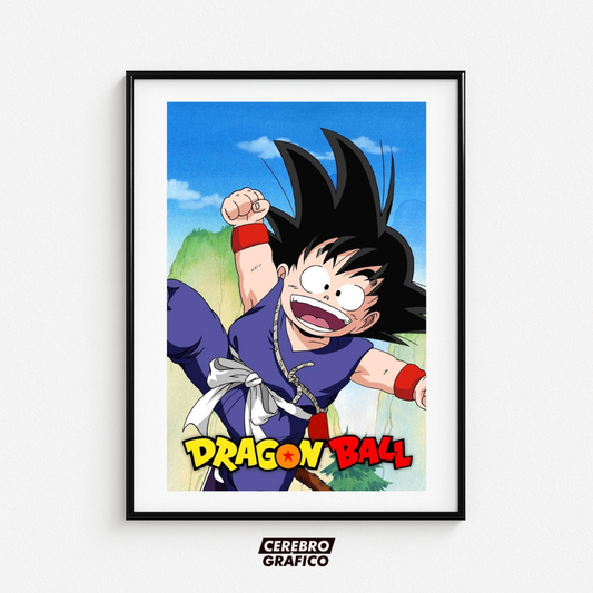 Cuadro Dragon Ball