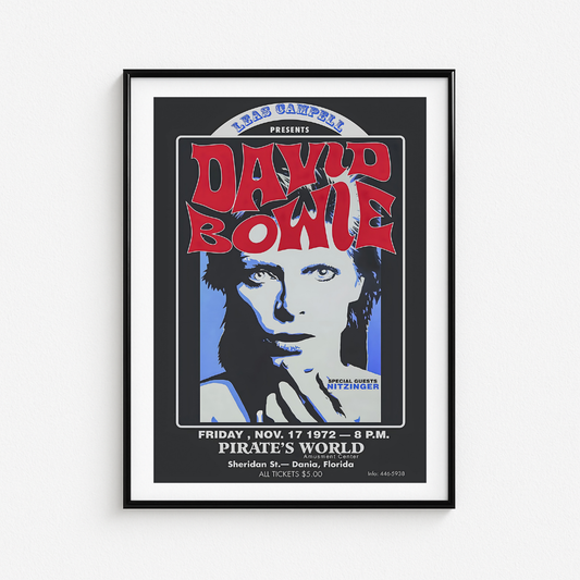 Cuadro David Bowie Pirate's World