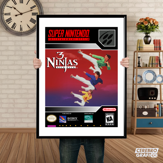 Cuadro SNES 3 Ninjas