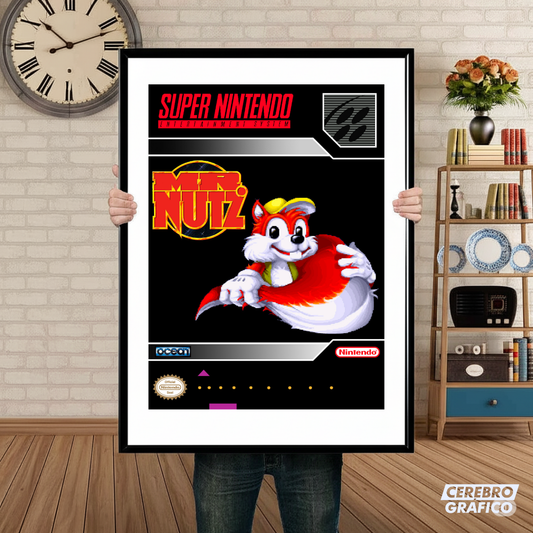 Cuadro SNES Mr Nutz