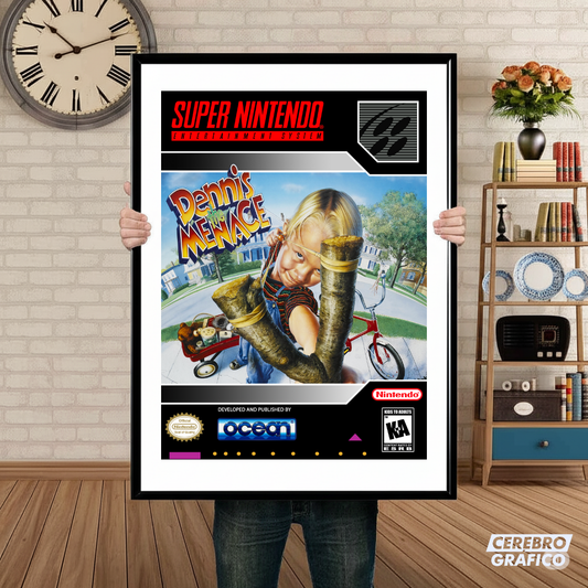 Cuadro SNES Denisse the Menace