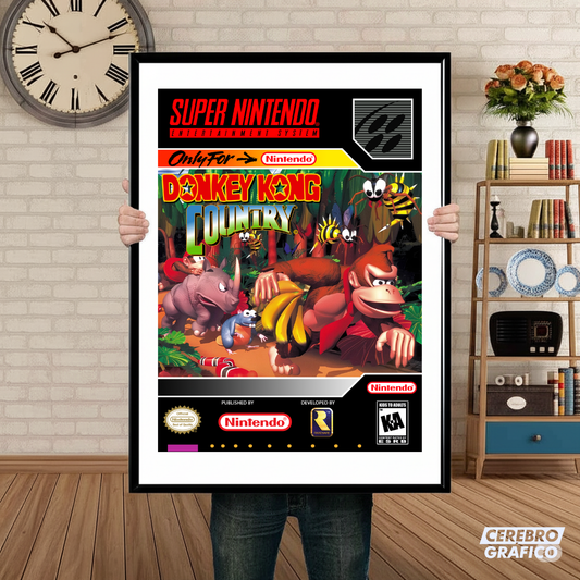 Cuadro SNES Donkey Kong Country